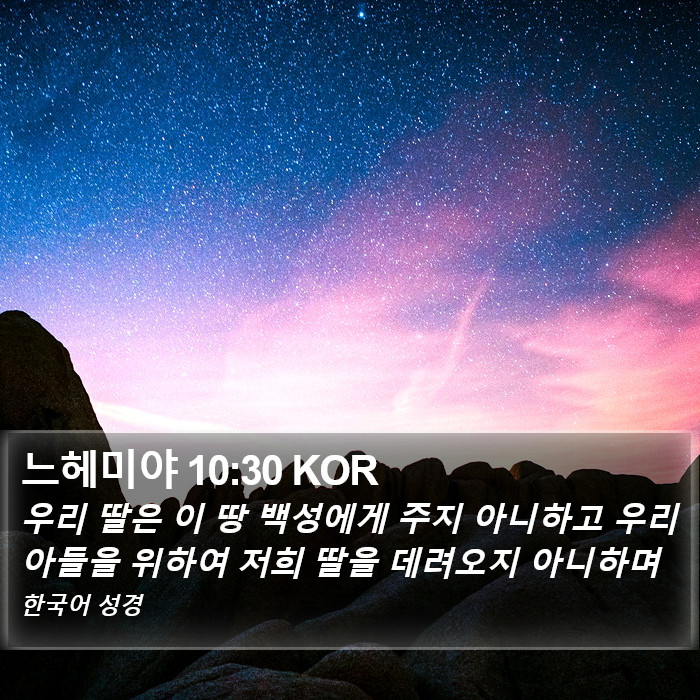 느헤미야 10:30 KOR Bible Study