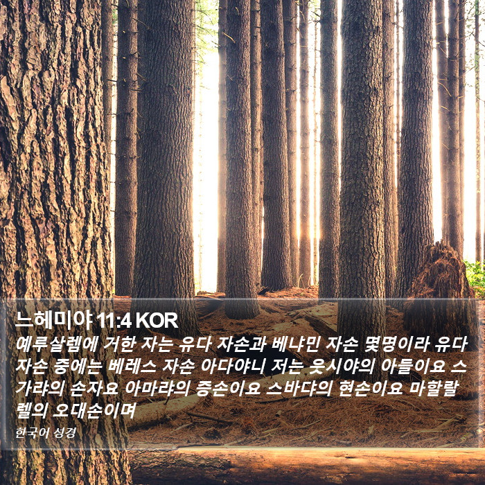 느헤미야 11:4 KOR Bible Study