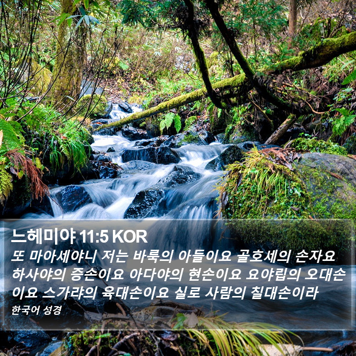 느헤미야 11:5 KOR Bible Study