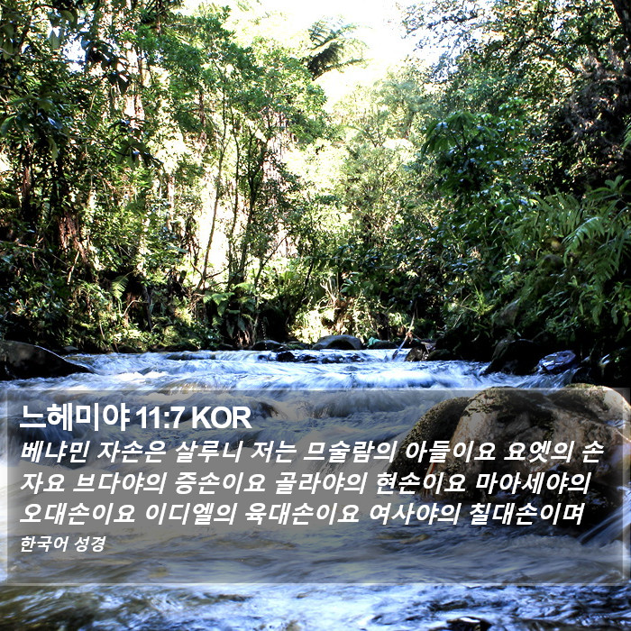 느헤미야 11:7 KOR Bible Study