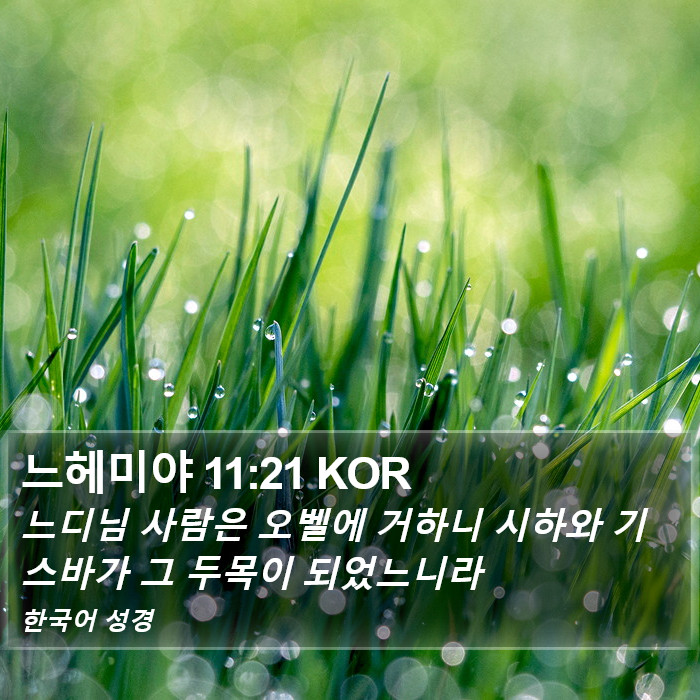 느헤미야 11:21 KOR Bible Study