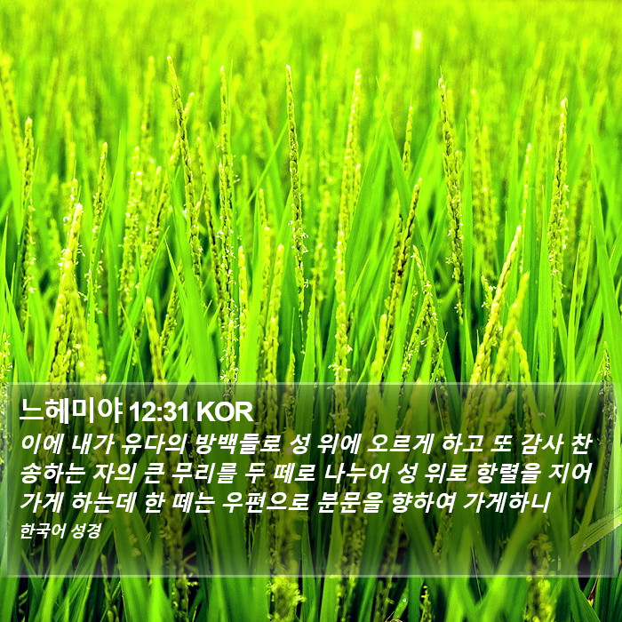 느헤미야 12:31 KOR Bible Study