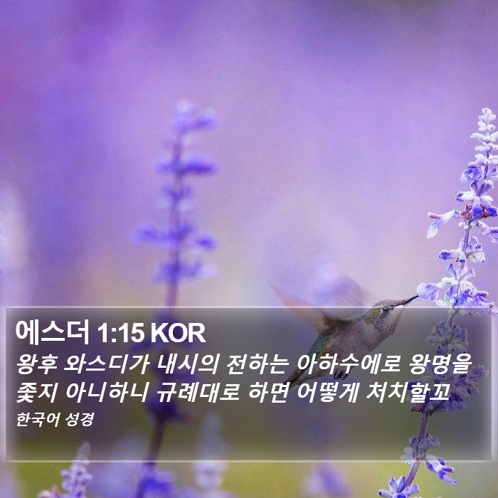 에스더 1:15 KOR Bible Study