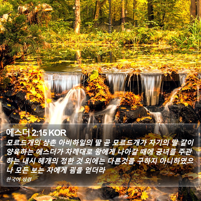 에스더 2:15 KOR Bible Study