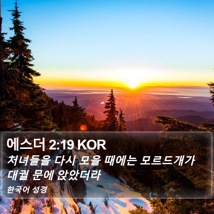 에스더 2:19 KOR Bible Study