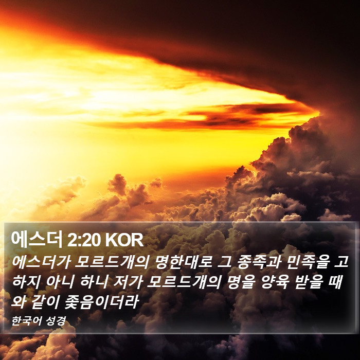 에스더 2:20 KOR Bible Study