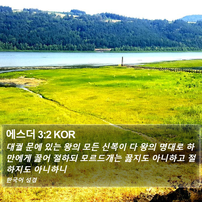 에스더 3:2 KOR Bible Study