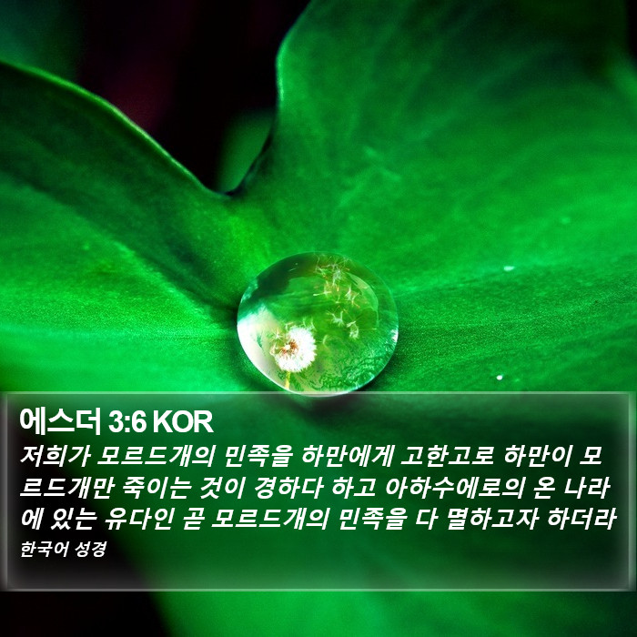 에스더 3:6 KOR Bible Study