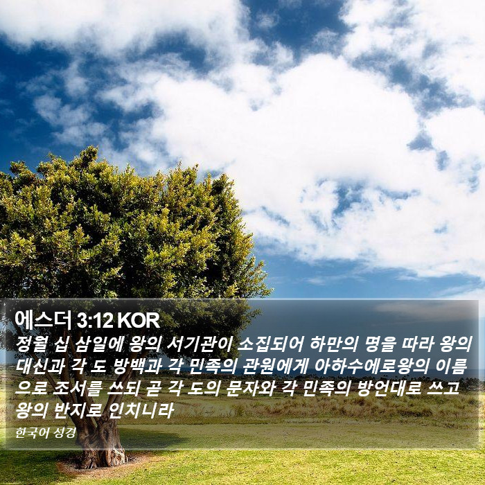 에스더 3:12 KOR Bible Study