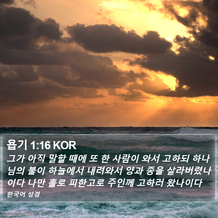 욥기 1:16 KOR Bible Study