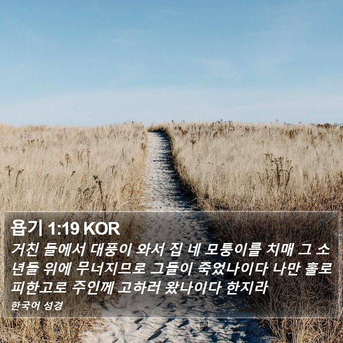 욥기 1:19 KOR Bible Study