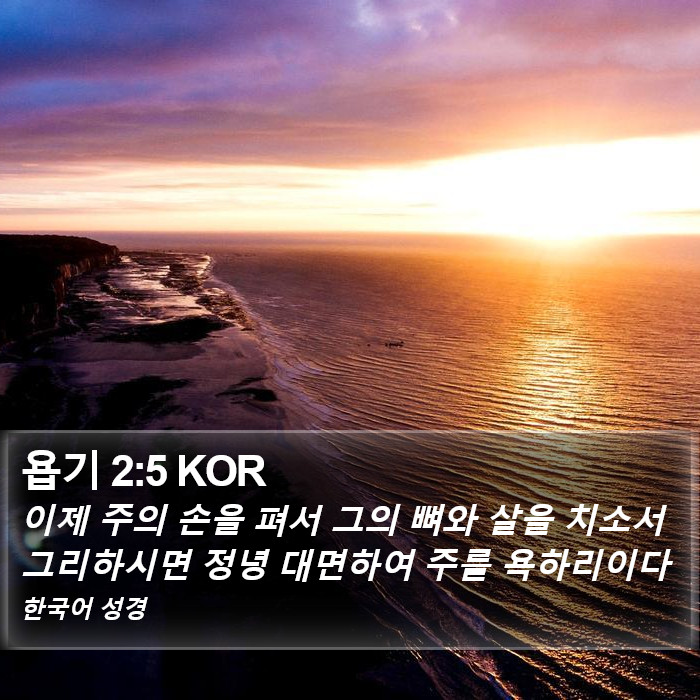 욥기 2:5 KOR Bible Study