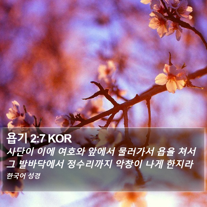 욥기 2:7 KOR Bible Study