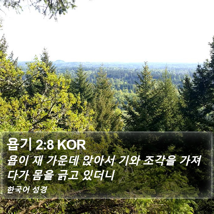 욥기 2:8 KOR Bible Study