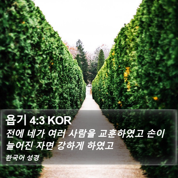욥기 4:3 KOR Bible Study