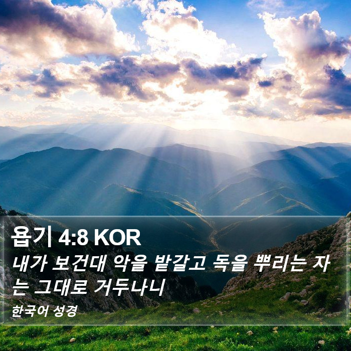 욥기 4:8 KOR Bible Study