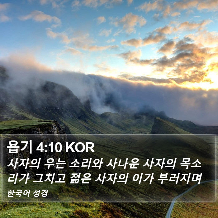 욥기 4:10 KOR Bible Study