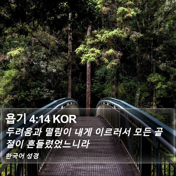 욥기 4:14 KOR Bible Study