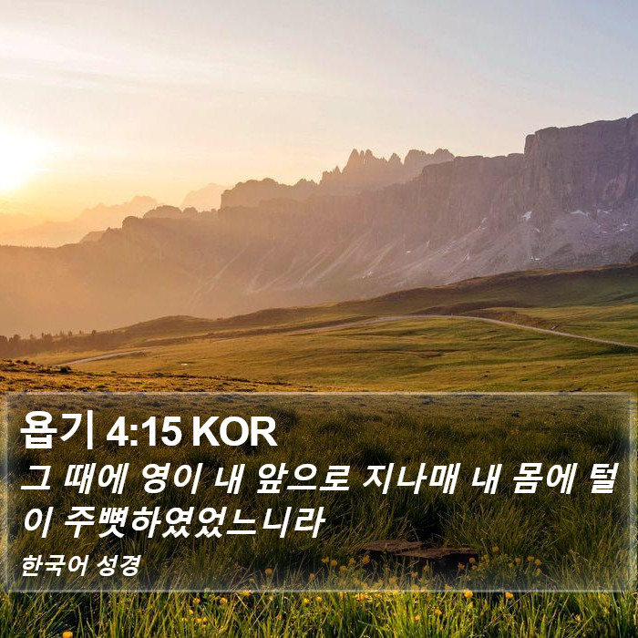 욥기 4:15 KOR Bible Study