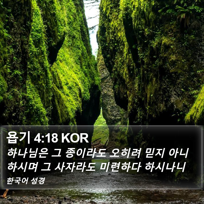 욥기 4:18 KOR Bible Study