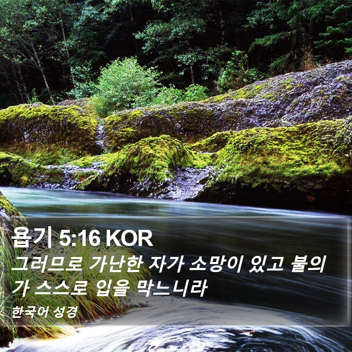 욥기 5:16 KOR Bible Study