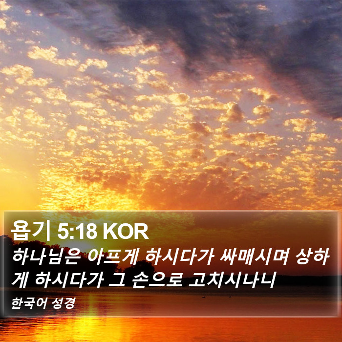 욥기 5:18 KOR Bible Study
