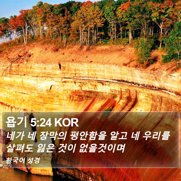 욥기 5:24 KOR Bible Study