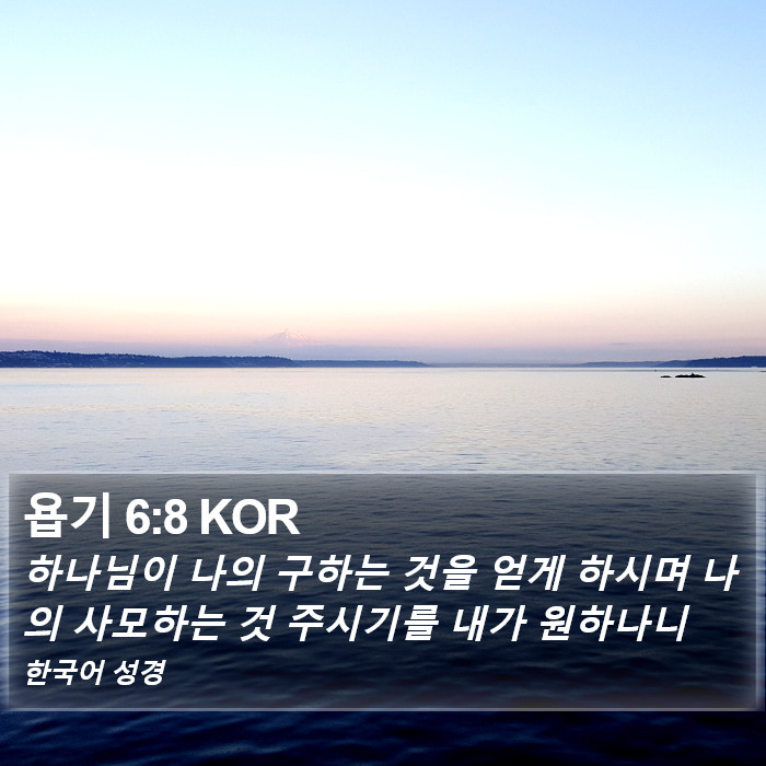 욥기 6:8 KOR Bible Study