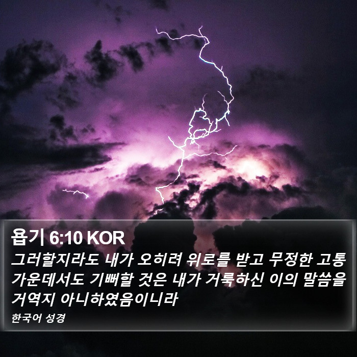 욥기 6:10 KOR Bible Study