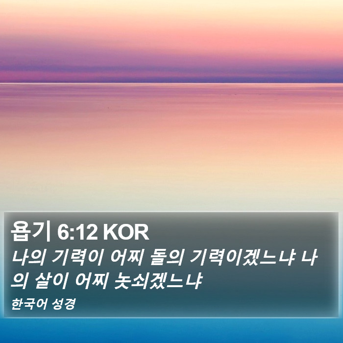 욥기 6:12 KOR Bible Study