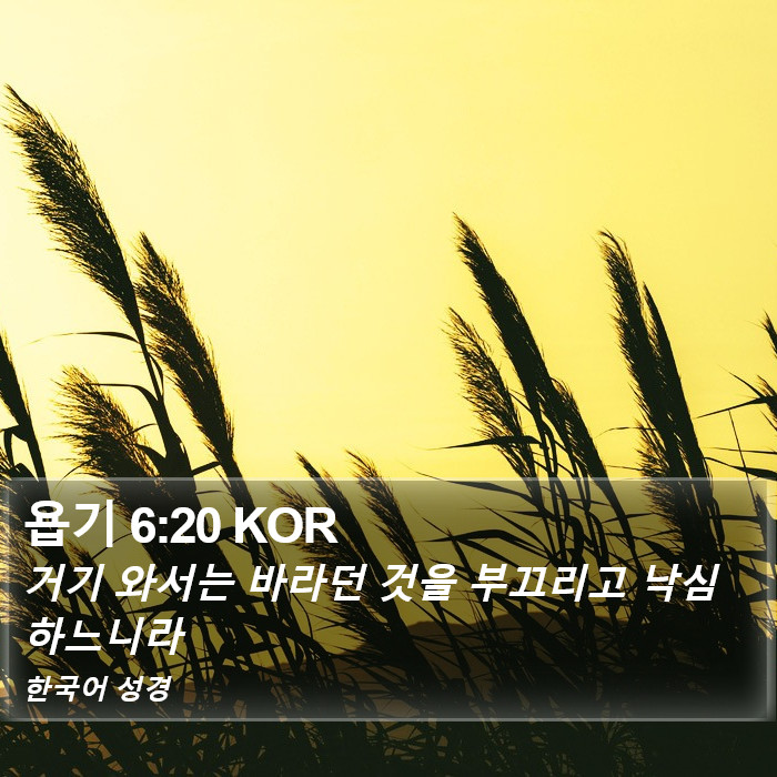 욥기 6:20 KOR Bible Study