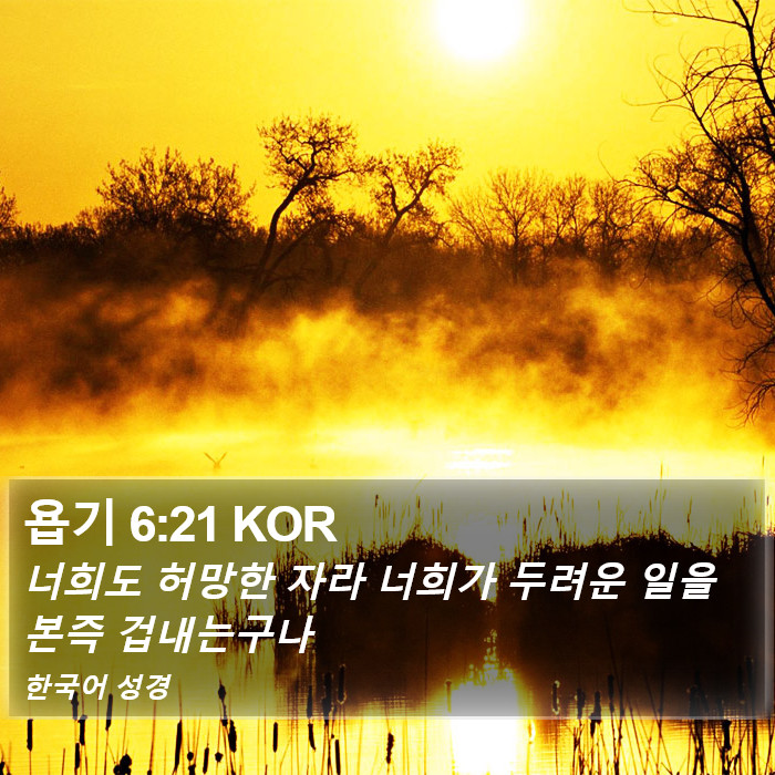 욥기 6:21 KOR Bible Study