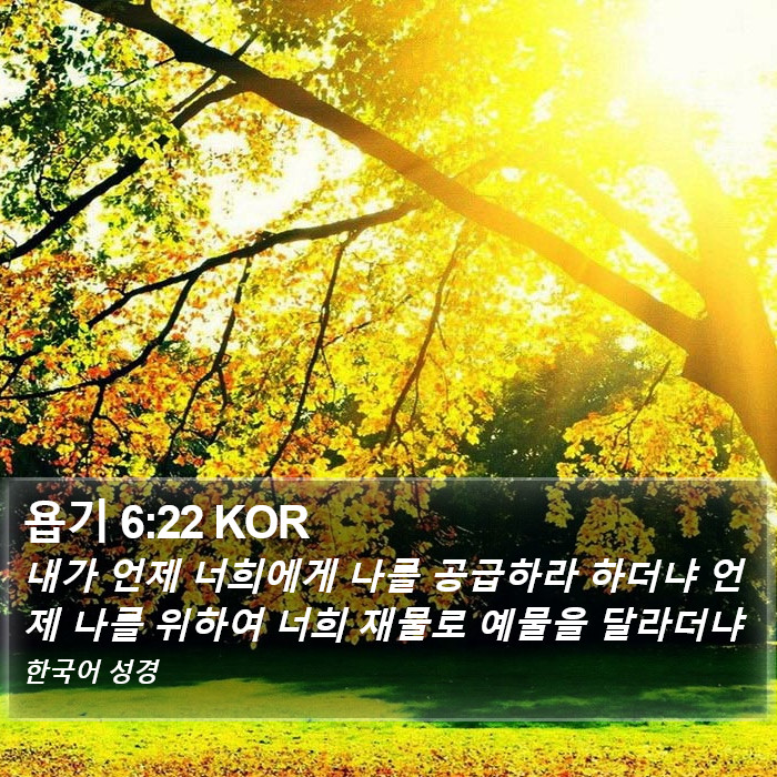 욥기 6:22 KOR Bible Study