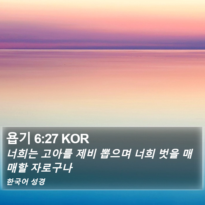 욥기 6:27 KOR Bible Study