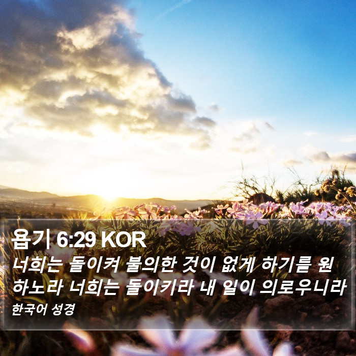욥기 6:29 KOR Bible Study