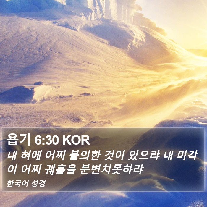 욥기 6:30 KOR Bible Study