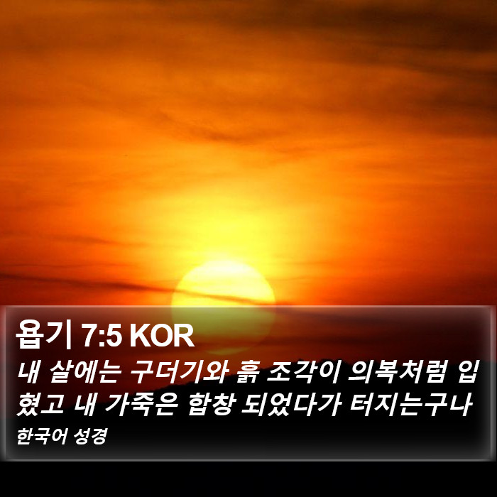욥기 7:5 KOR Bible Study