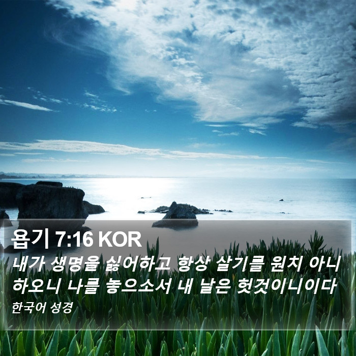 욥기 7:16 KOR Bible Study