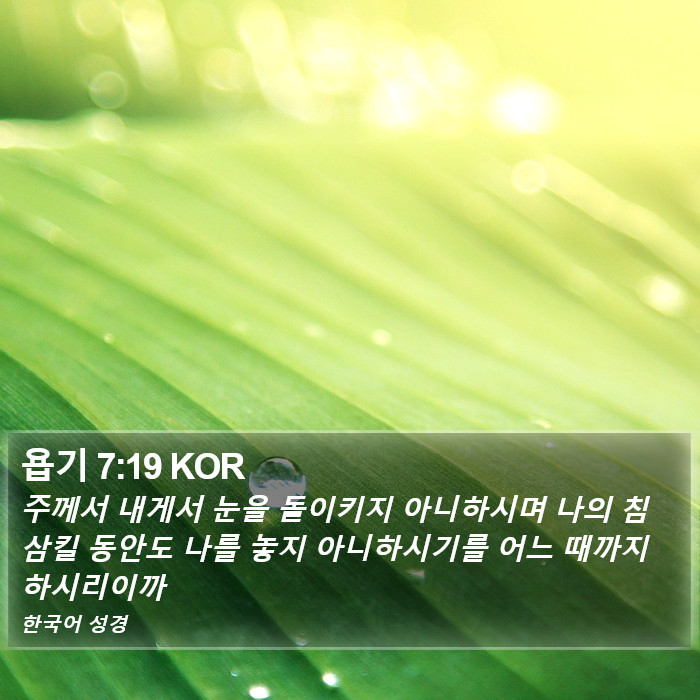 욥기 7:19 KOR Bible Study