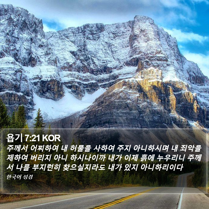 욥기 7:21 KOR Bible Study