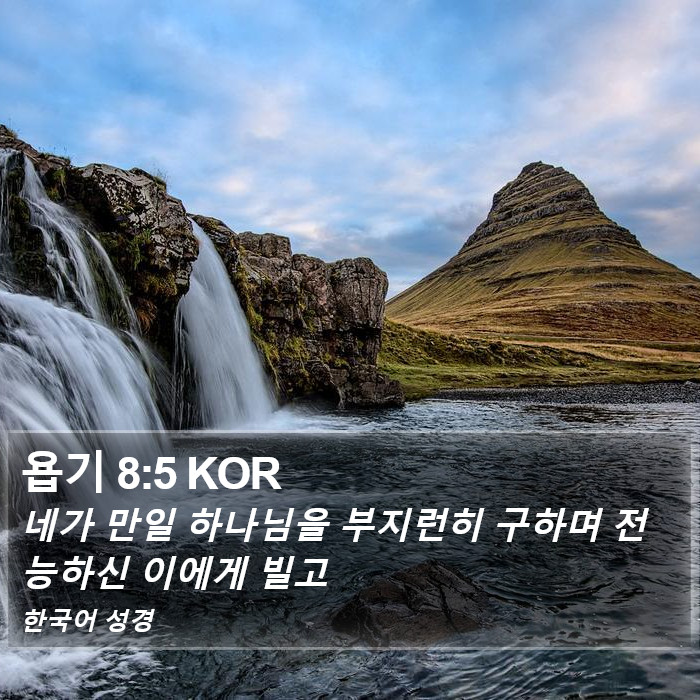 욥기 8:5 KOR Bible Study