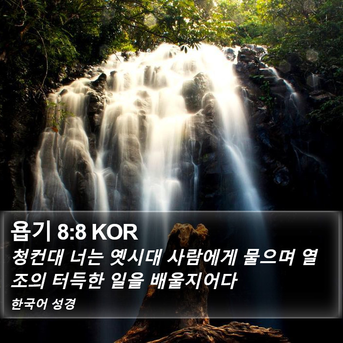 욥기 8:8 KOR Bible Study
