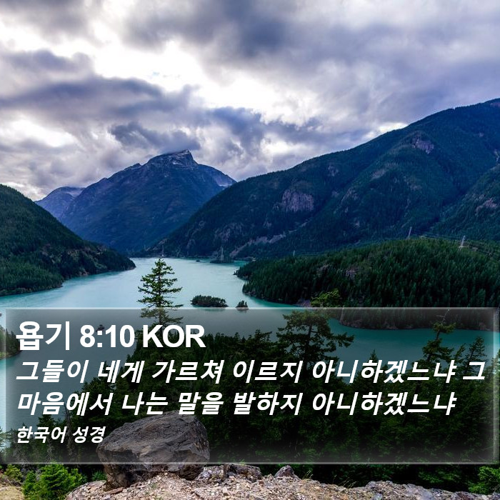 욥기 8:10 KOR Bible Study