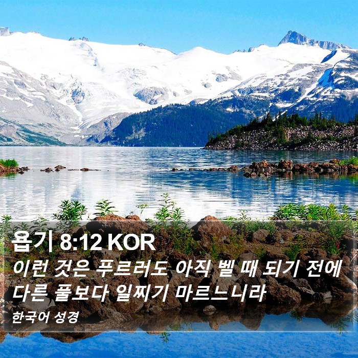 욥기 8:12 KOR Bible Study