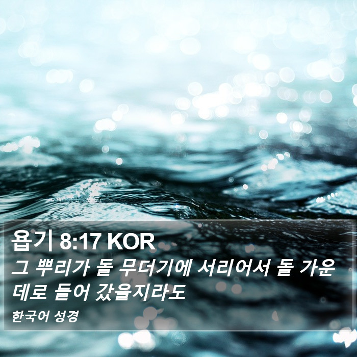 욥기 8:17 KOR Bible Study
