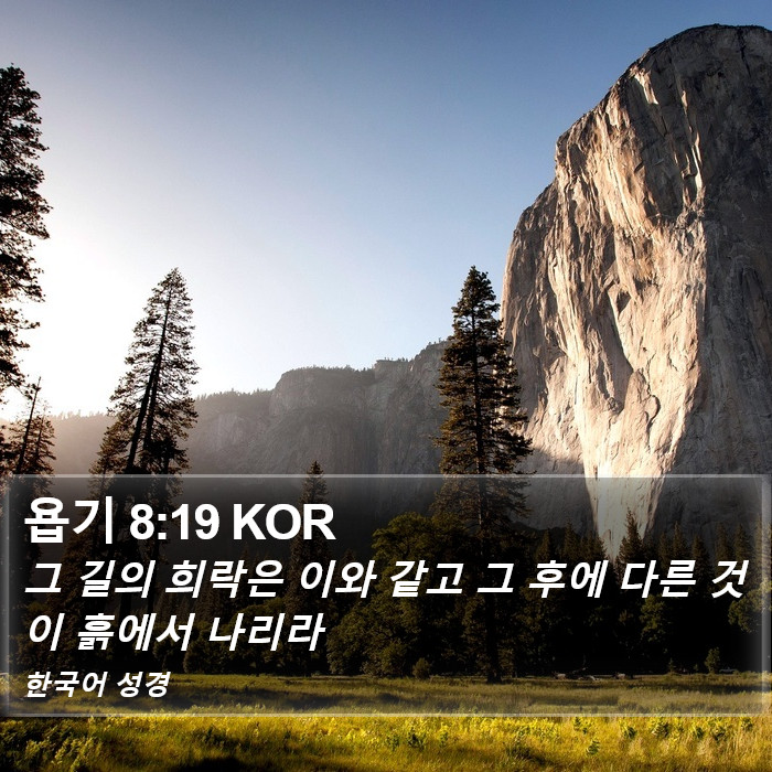 욥기 8:19 KOR Bible Study
