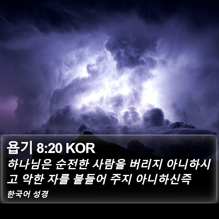 욥기 8:20 KOR Bible Study
