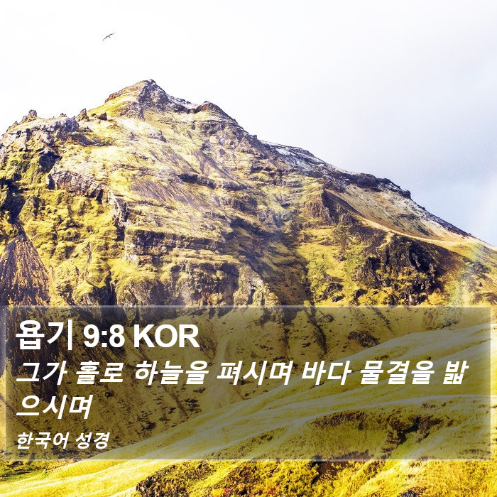 욥기 9:8 KOR Bible Study
