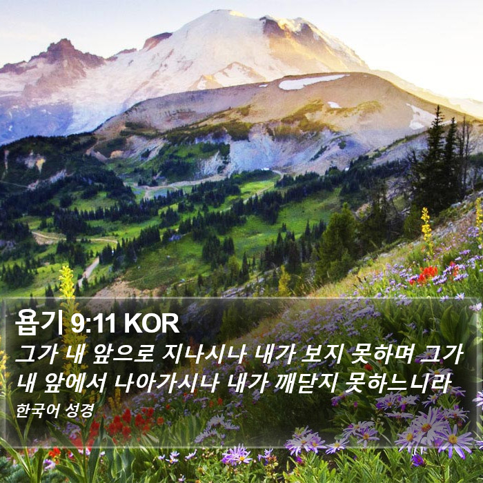 욥기 9:11 KOR Bible Study