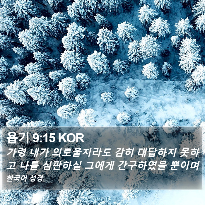 욥기 9:15 KOR Bible Study